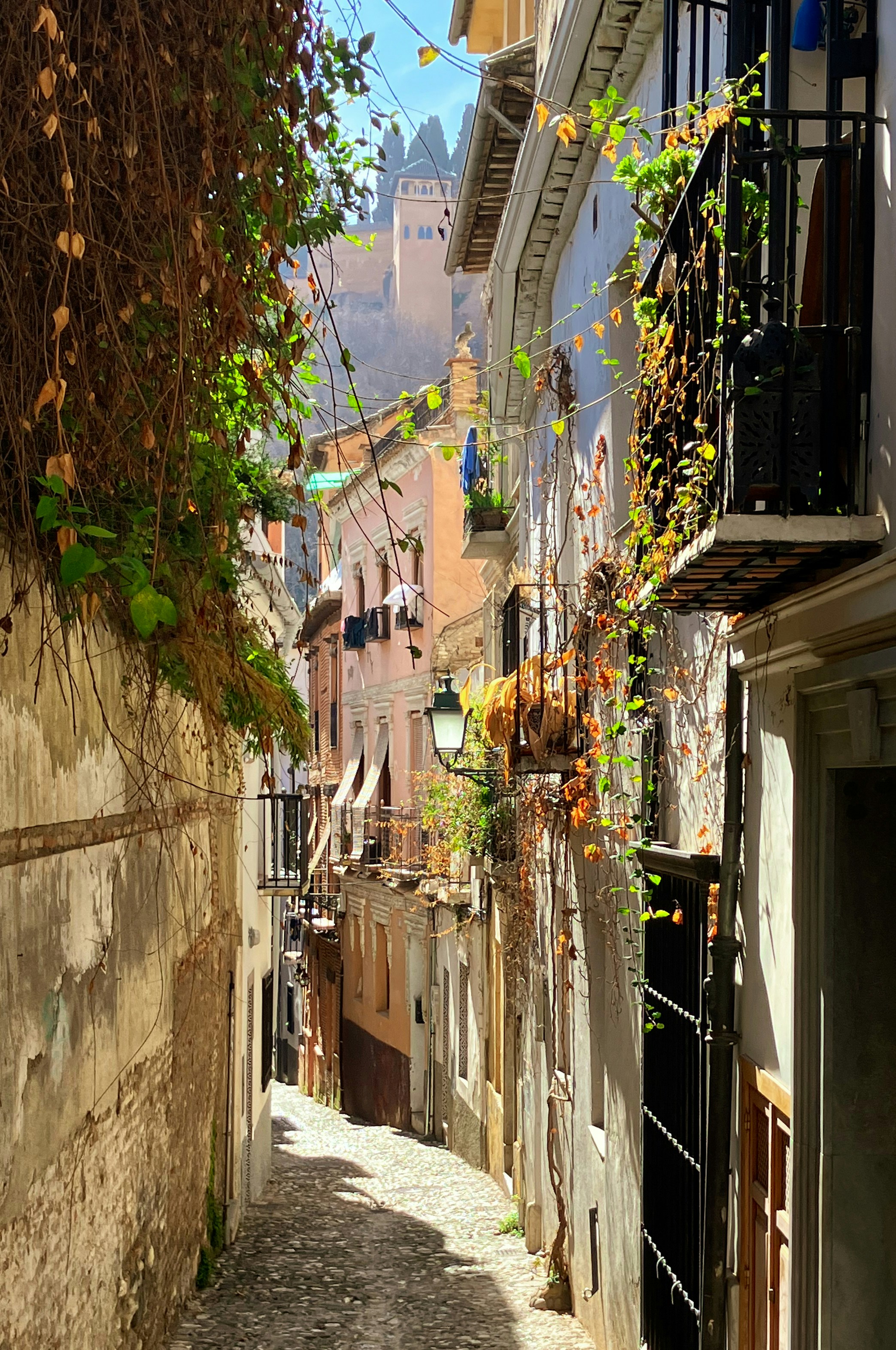 Sunlit street in Granada with relaxed evening atmosphere